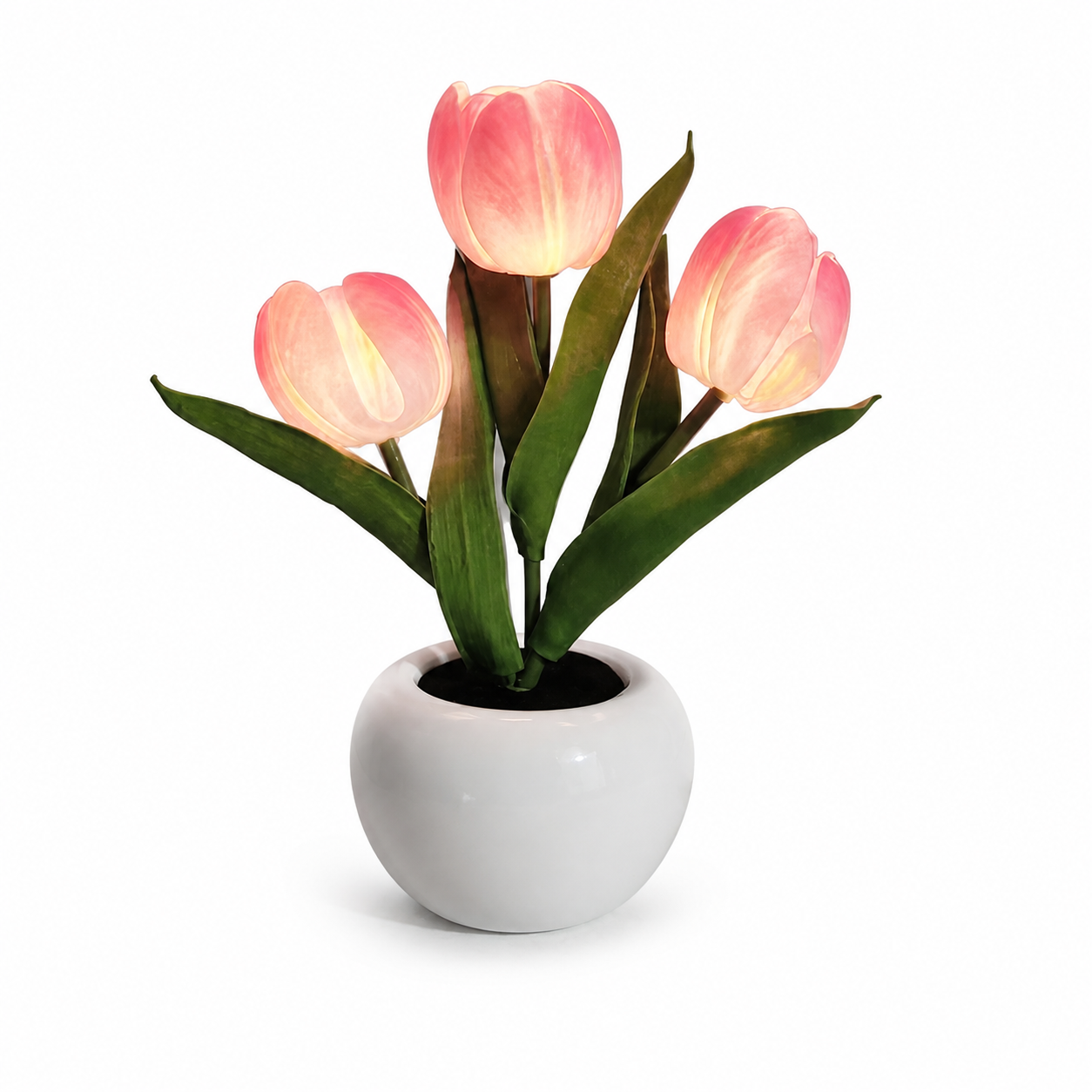 Pink tulip ambient table lamp on a white background